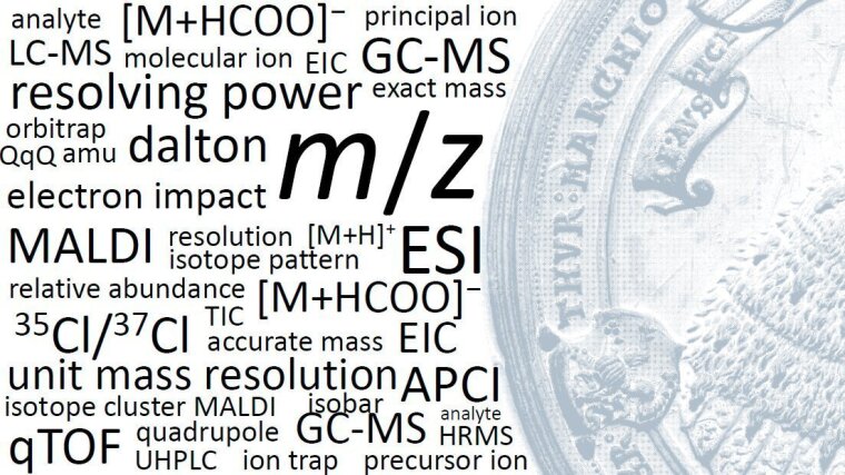 terms in MS